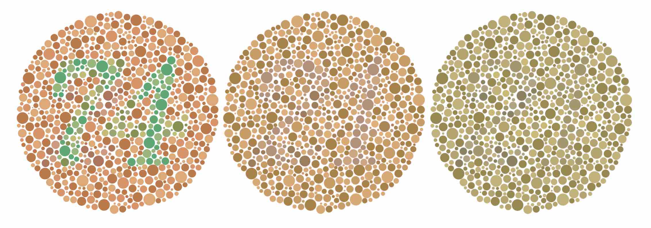 Ishihara plate in three different vision types